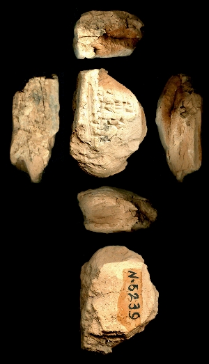 N5239