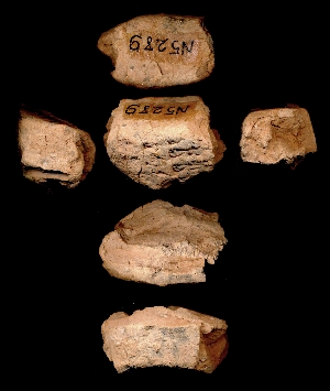 N5289