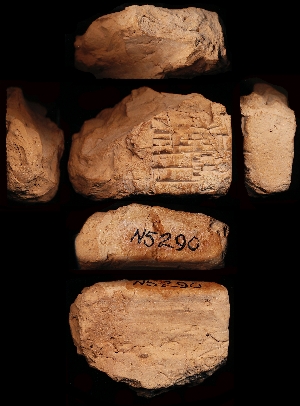 N5290