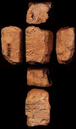N5298