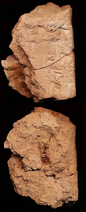N5315
