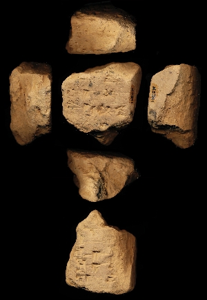 N5341