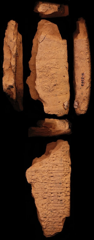 N5368