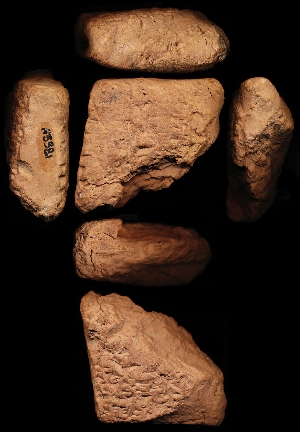 N5381