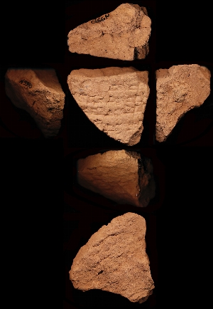 N5390