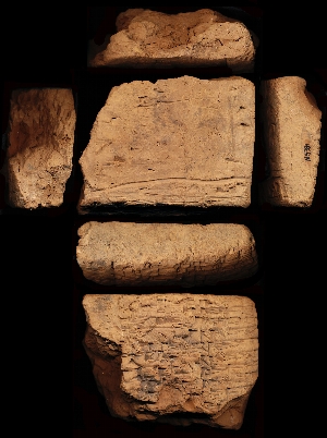 N5391