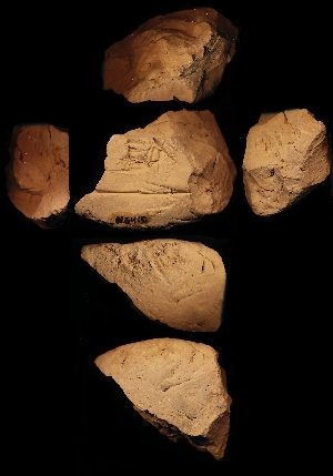 N5410