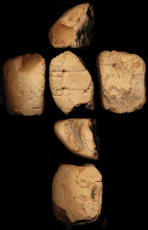 N5420