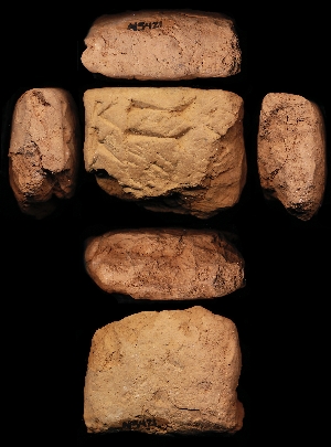 N5421