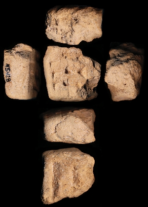 N5428