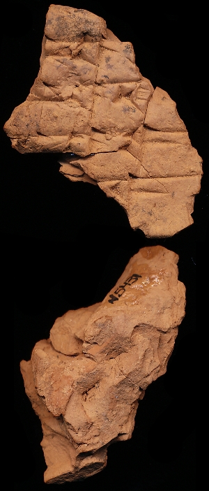 N5431