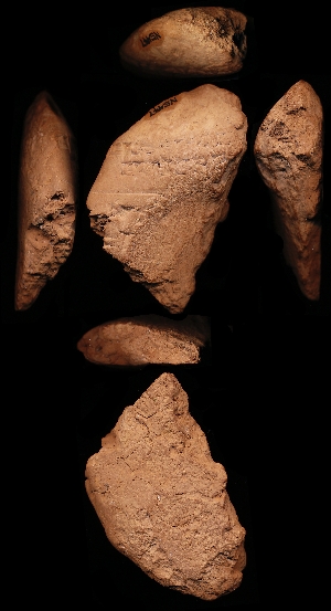 N5447