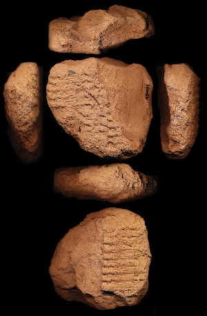 N5451