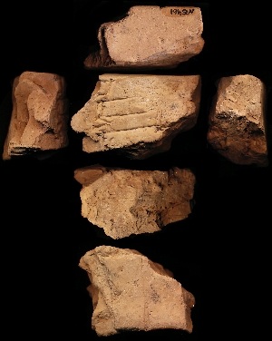 N5461