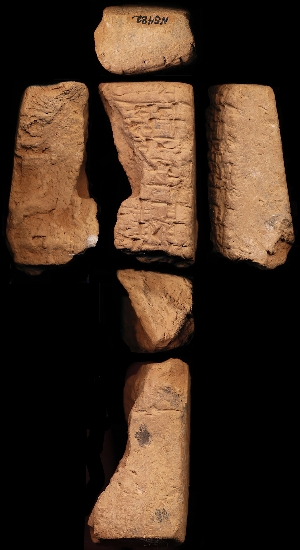 N5482