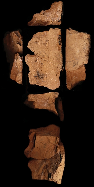 N5493