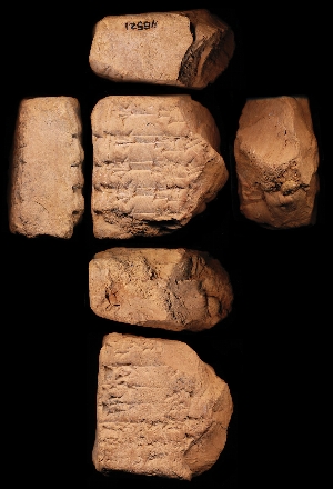 N5521