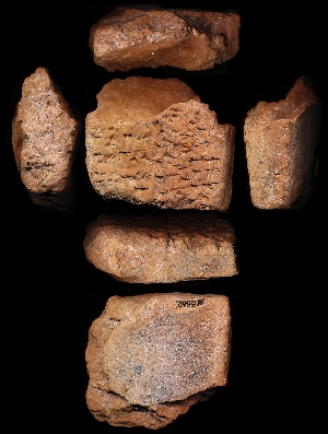 N5562