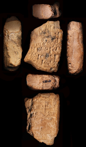 N5585