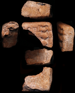 N5601