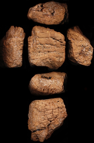 N5629