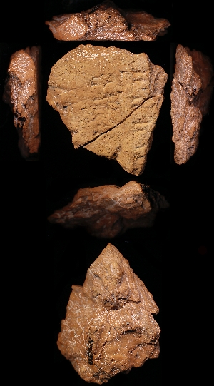 N5630