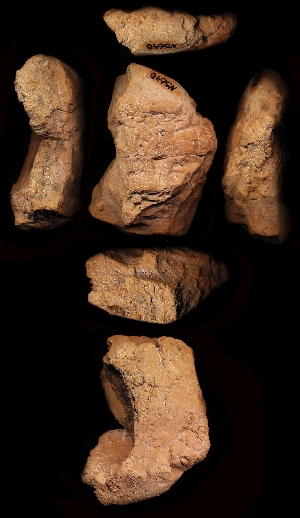 N5645