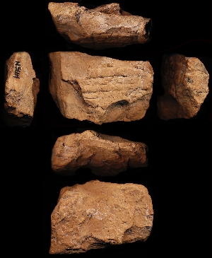 N5664