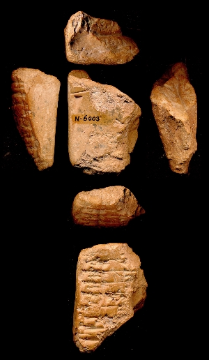 N6003