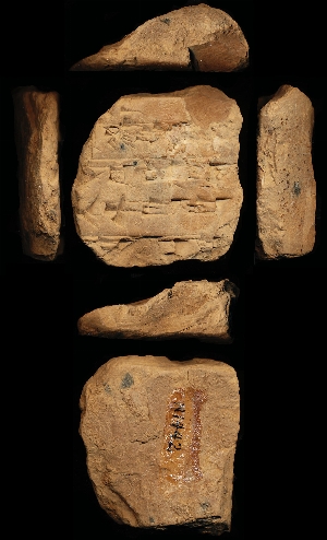 N1442