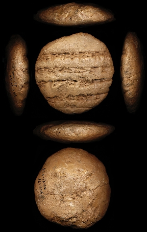 55-21-278