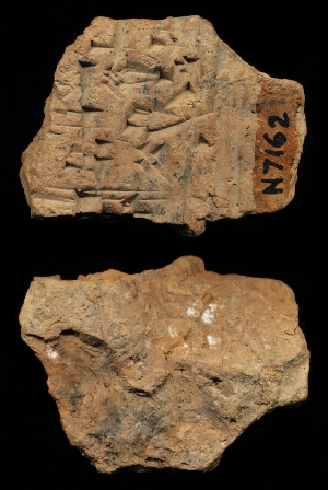 N7162