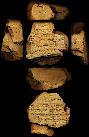 N3172
