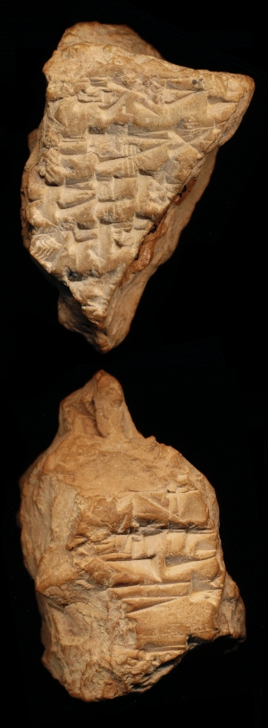 N7918