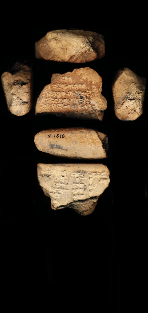 N1518