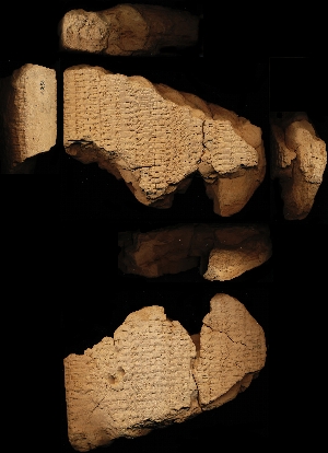 N3886