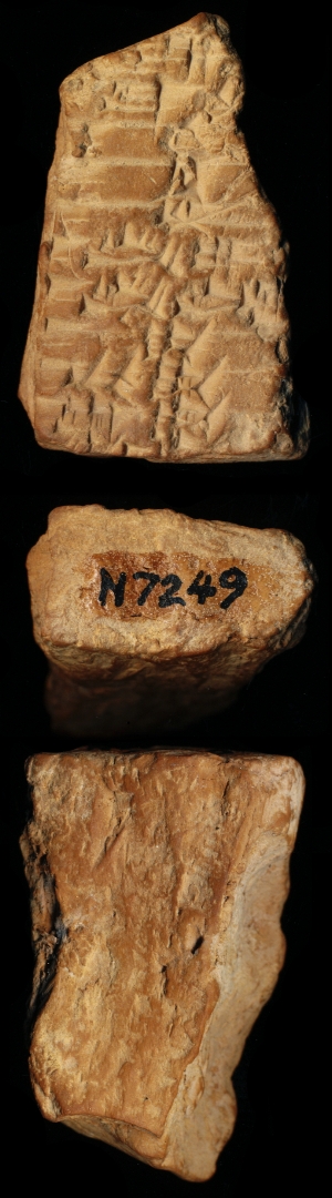 N7249