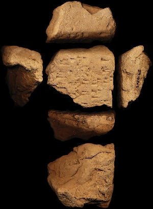 29-16-613