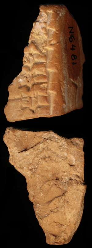 N6481