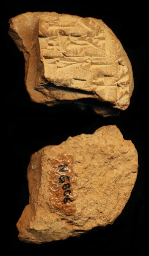 N6806
