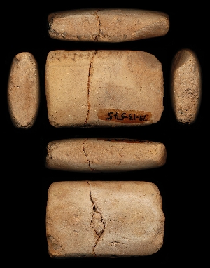 29-13-545