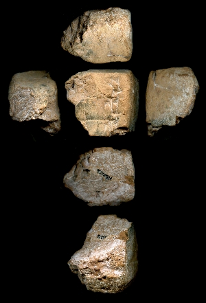 N6026