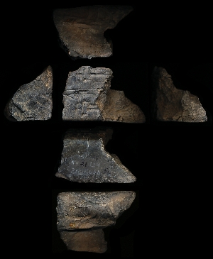 55-21-124
