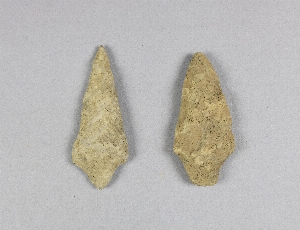 NA3698