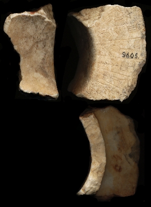 CBS9605