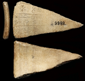 CBS9988