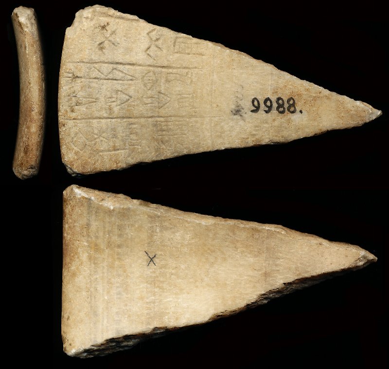 772354