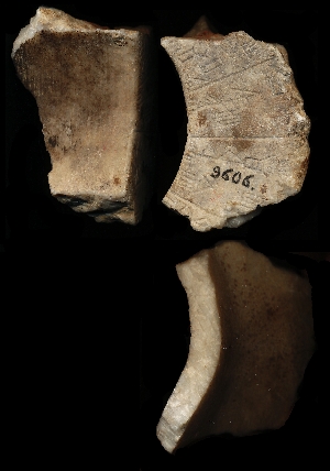 CBS9606