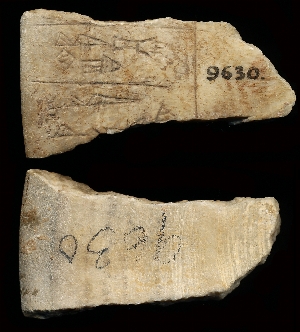 CBS9630