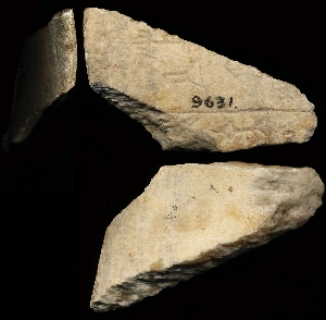 CBS9631